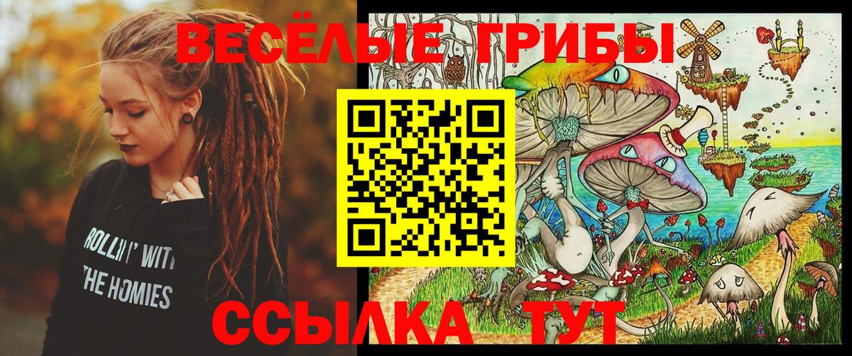 Валуйки  закладки  Вход с VPN  Псилоцибиновые грибы Cubensis 